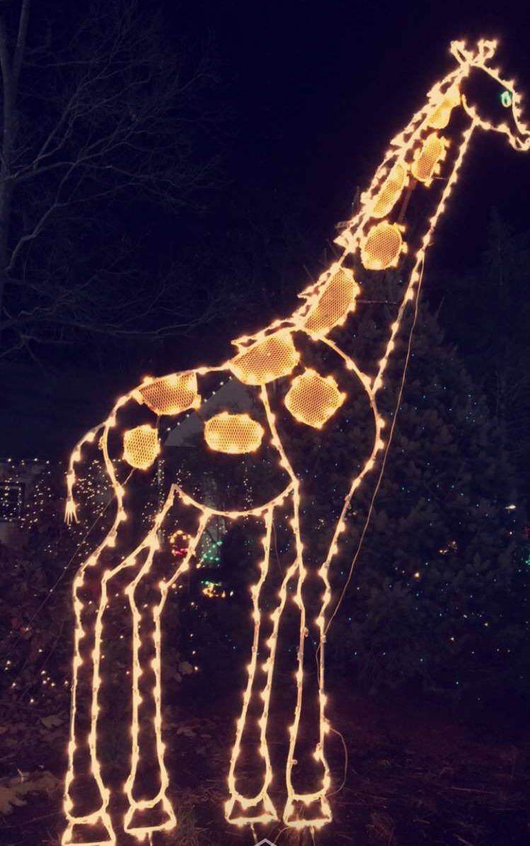 Holiday_Giraffe