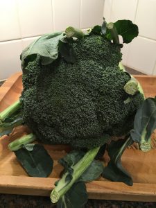 broccoli