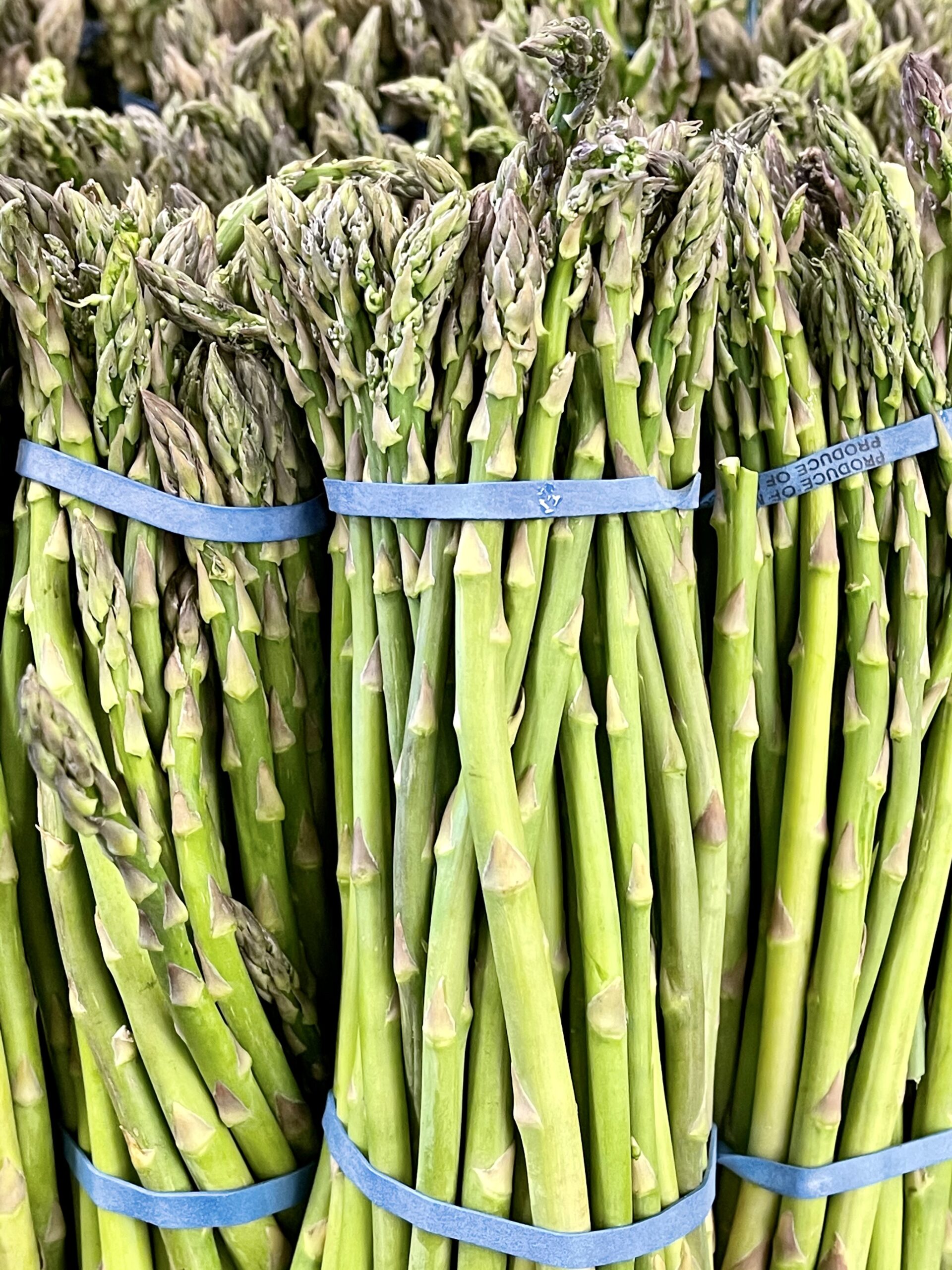 shopping_day_asparagus